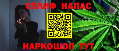 сатива Бугуруслан